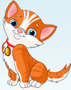 Import Cat